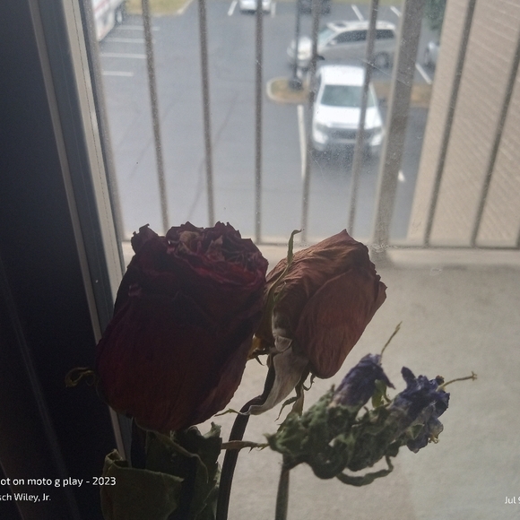 Meet your Posher, Tisch - Picture 4 of 13